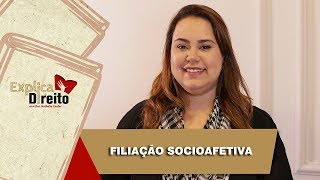 Explica Direito Filiação Socioafetiva  2019 [upl. by Anaihs]